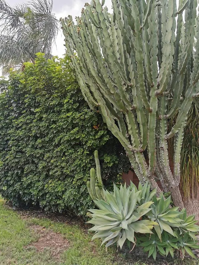 Villa Grande Messina 0*,